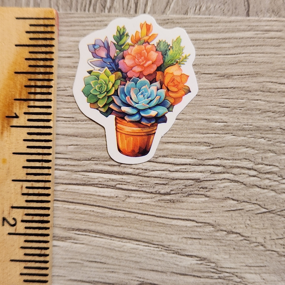 10/$10 Succulent Plant Sticker Gardening Cacti Grow